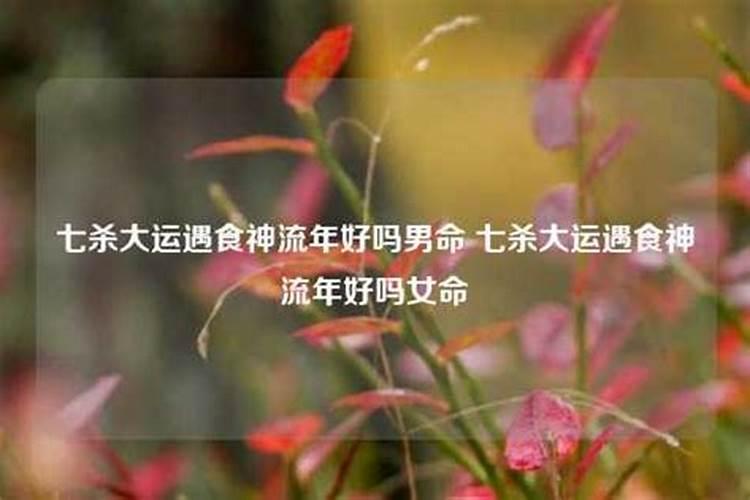 八字里食神是什么意思