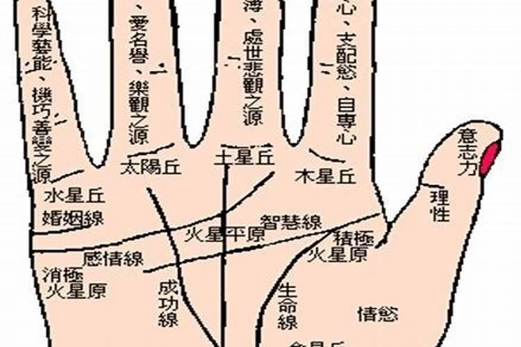 手相婚姻线位置,如何看手相算命婚姻好坏