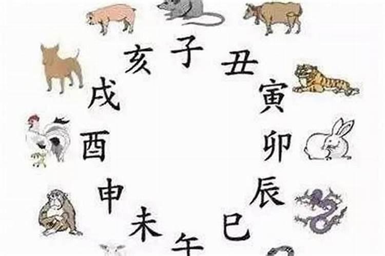 2025哪一天开始属蛇