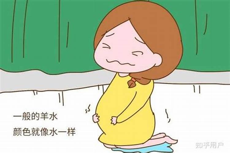 属虎女孩出生的四个最佳时辰,属虎女孩什么时辰出生最好命