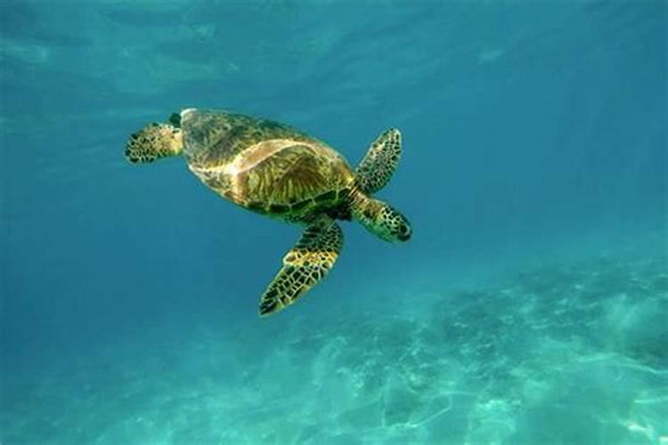 临淄太公湖2025有花灯吗