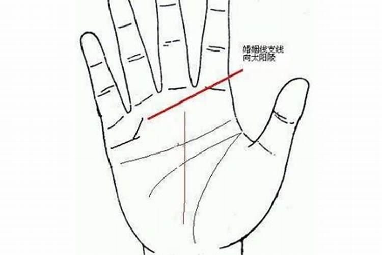 女生手相怎么看 婚姻线好感情线要适中？
