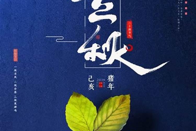 为什么人喜欢养伯劳鸟？