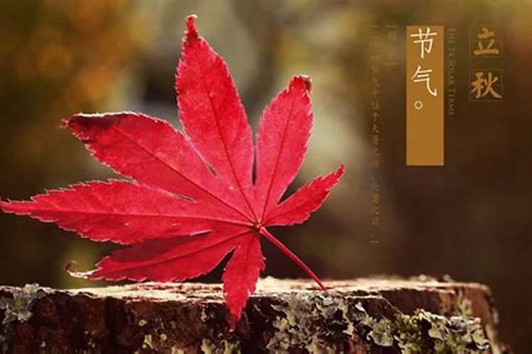 送给你立秋祝福语