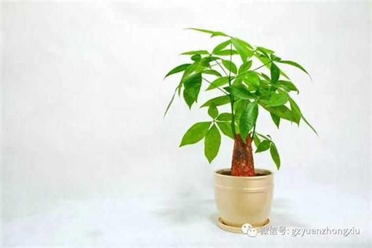 腊月做什么生意赚钱