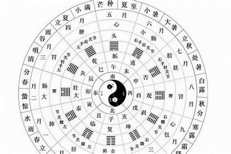 1994年属狗是什么命适合戴什么