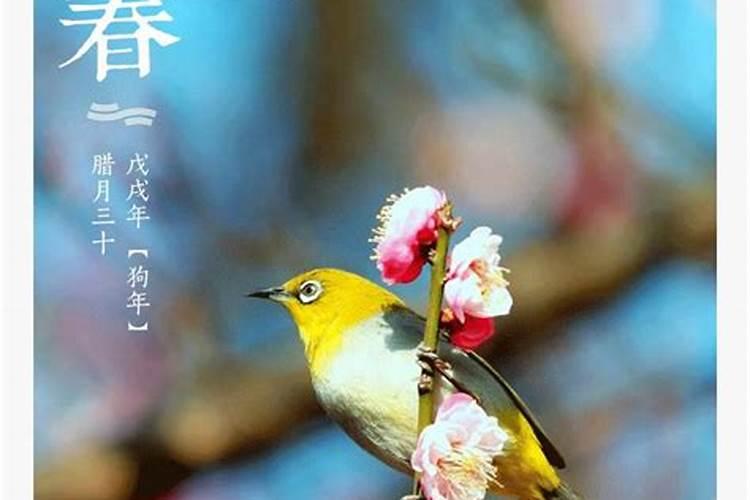 打春是几月几日？几点2025