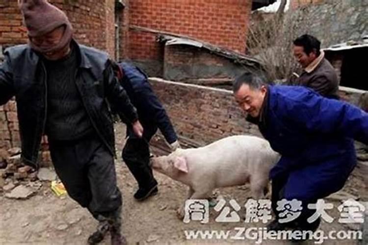 我1987年阴历12月10日请问五行命里缺什么