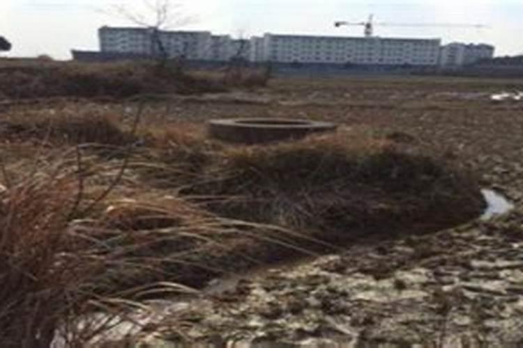 渭南市北程村:航拍唐代白居易家族墓地