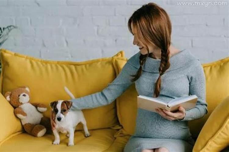 孕妇梦见狗是什么意思