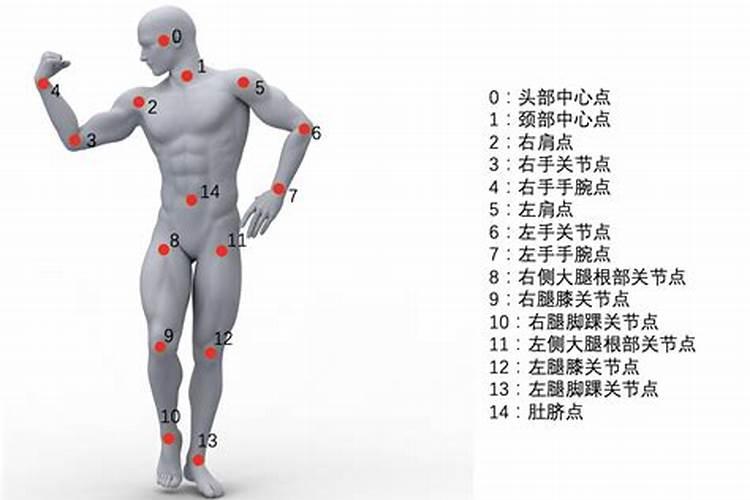 相马人今年运势财情怎样