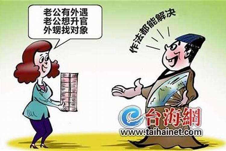 属虎—2010本命年—适合养狗吗？