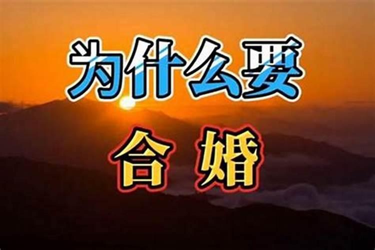 属猪人2025年每月运势