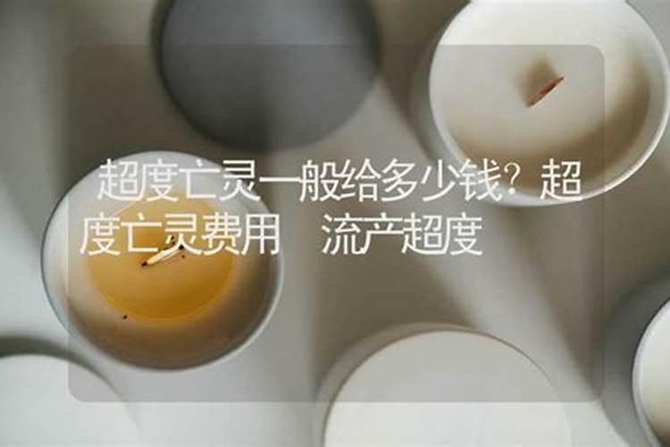 "金"这个字猜一生肖？