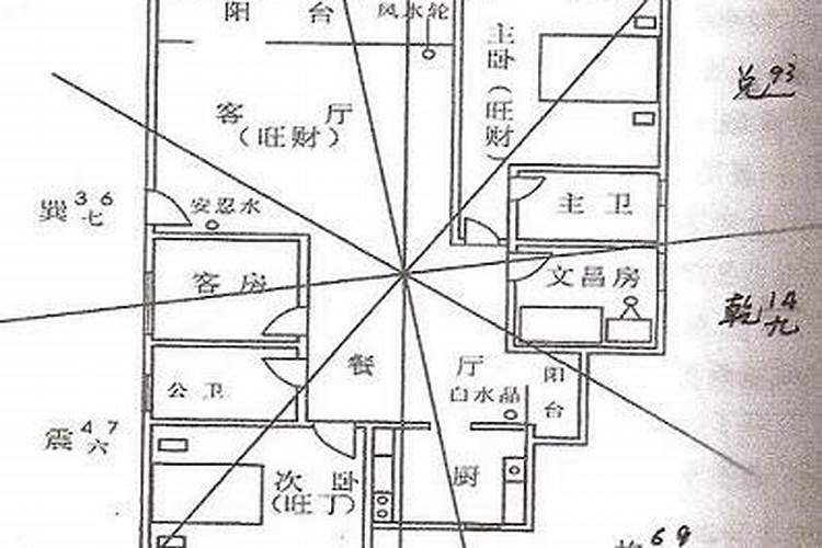 小户型猫砂盆放在哪里