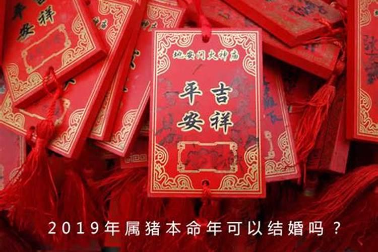 属马人遇鼠年
