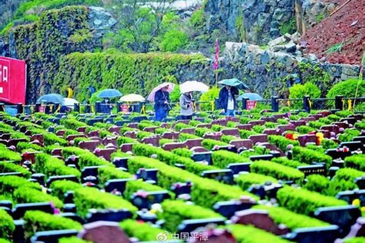 1976年属龙的合适佩戴什么 76年属龙人化解太岁？