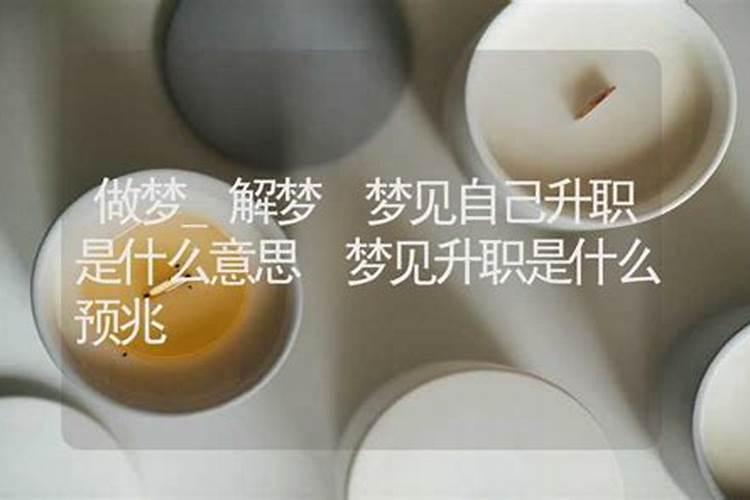 梦见自已被狗咬狗又松口了