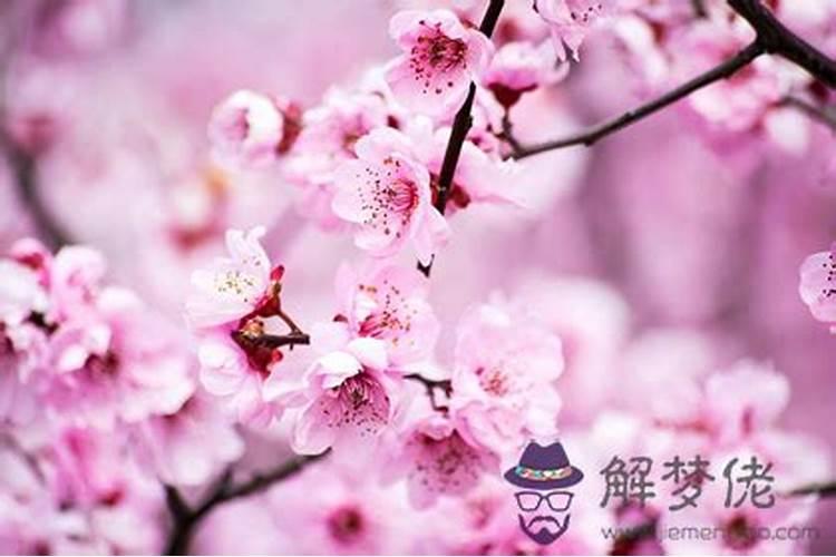 怎么从八字看配偶属相,通过自己的八字可以算配偶属相吗？