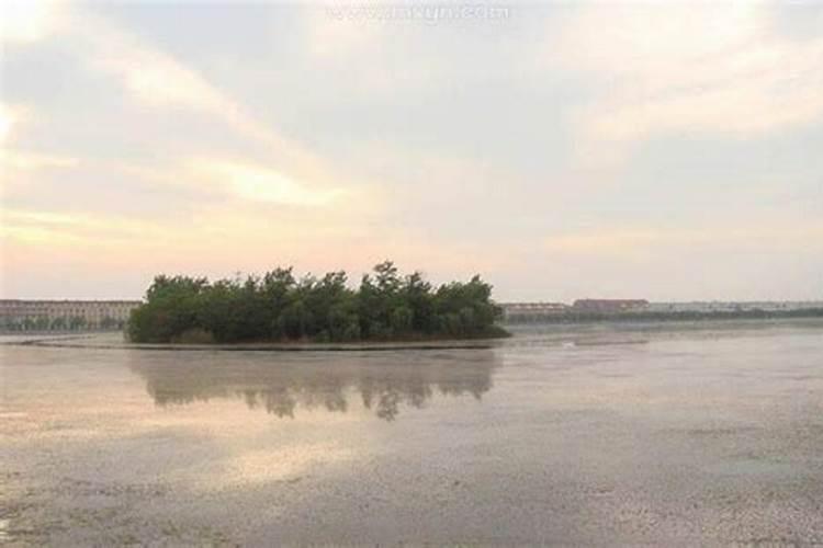 我家乡的春节四年级作文