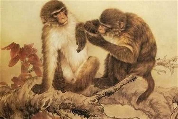 梦见别人送红糖和我