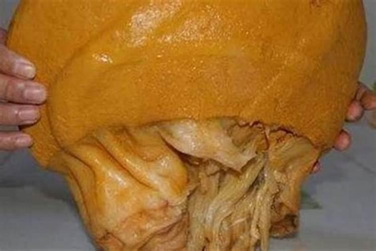 太岁究竟是个什么东西？真的是灵丹妙药吗？