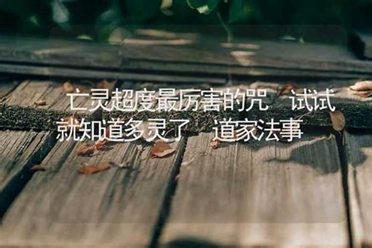 植物的习俗文化