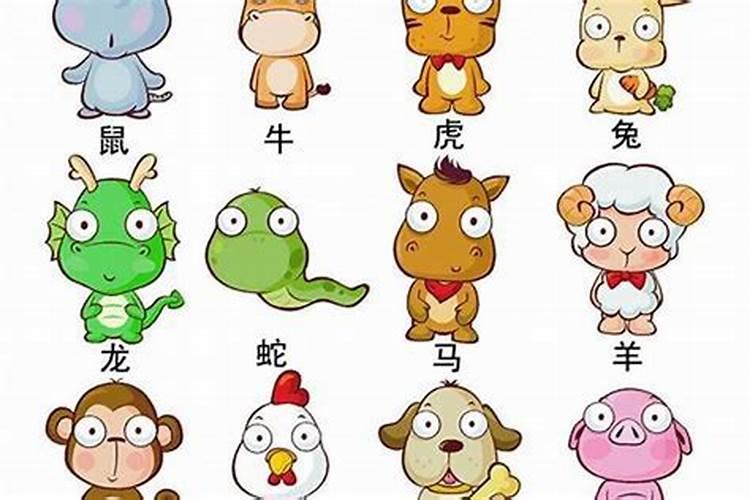 12生肖最有福气排名,哪些生肖天生福运绵延