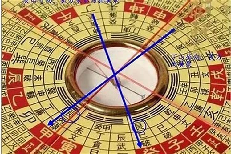 梦见蛇咬我双手背的预兆