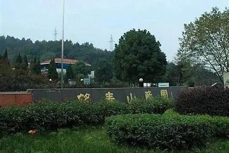 冬至祭祖是什么地方的风俗