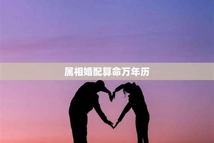 男女属相婚配大全万年历表,男女属相”婚配表”,看看准不准