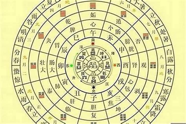 属牛的最好的配偶是什么属相