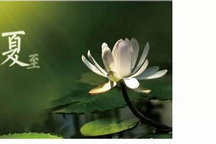 夏至和立夏有什么区别