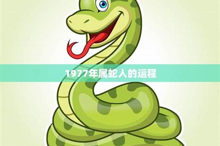 01年属蛇女本命年运气如何
