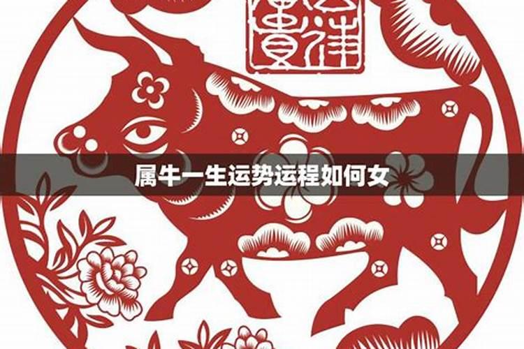 属牛人的一生运势,属牛人运势如何？