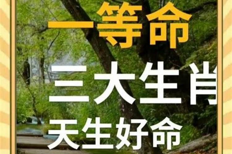 人的命运是上天注定好的吗(命不好的人是天注定吗)