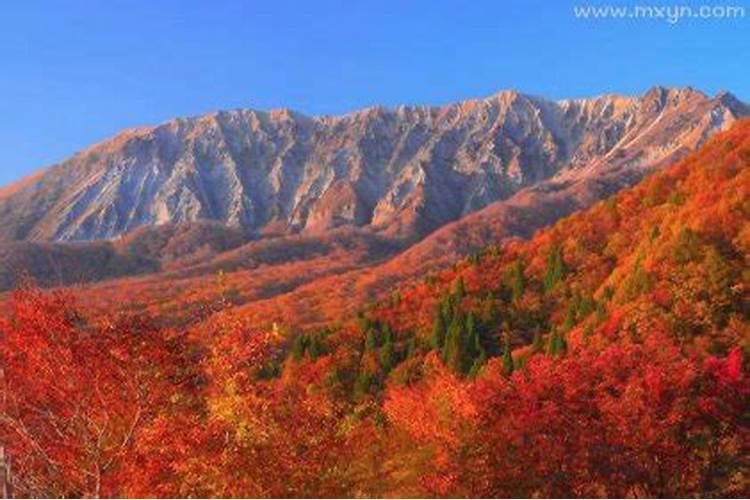 梦见好多大山的预兆
