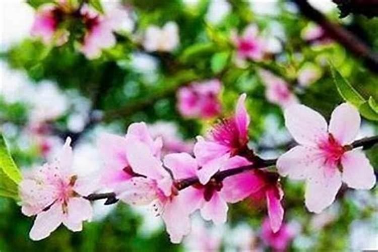 女微信名字好运招财两个字 大气有涵养招财的女生网名