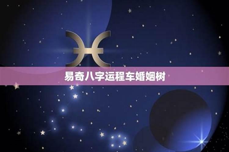 易奇八字婚姻树那个树干测试的未来对象准吗