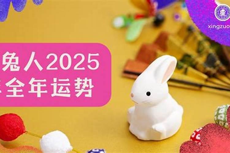 生肖兔2025年运势 属兔2025年运势及运程