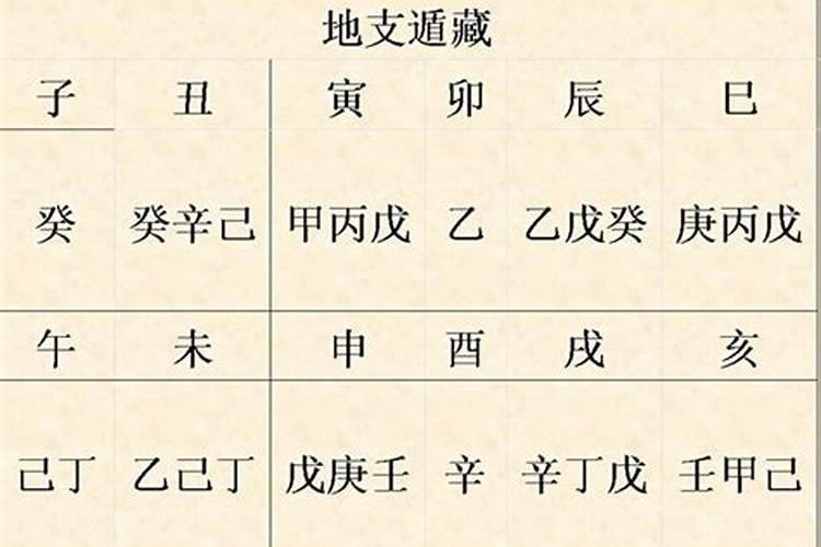 大师您看下我的八字中这些是什么意思啊？