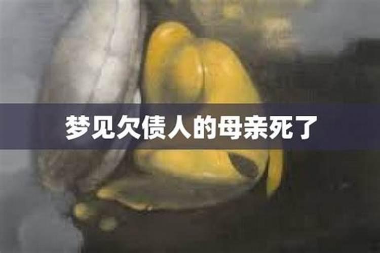 夏至为什么要吃鸡蛋 有什么好处