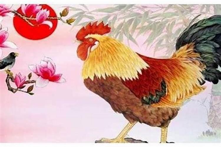 属虎女和什么属相最好
