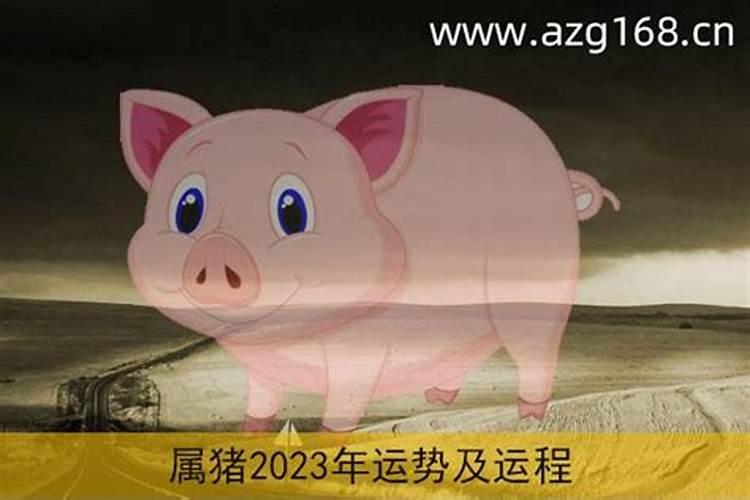 算八字能知道自己何时才有孩子吗？
