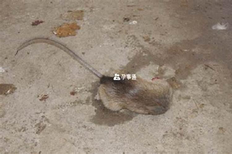 超度堕胎婴灵后怎么还是诸事不顺