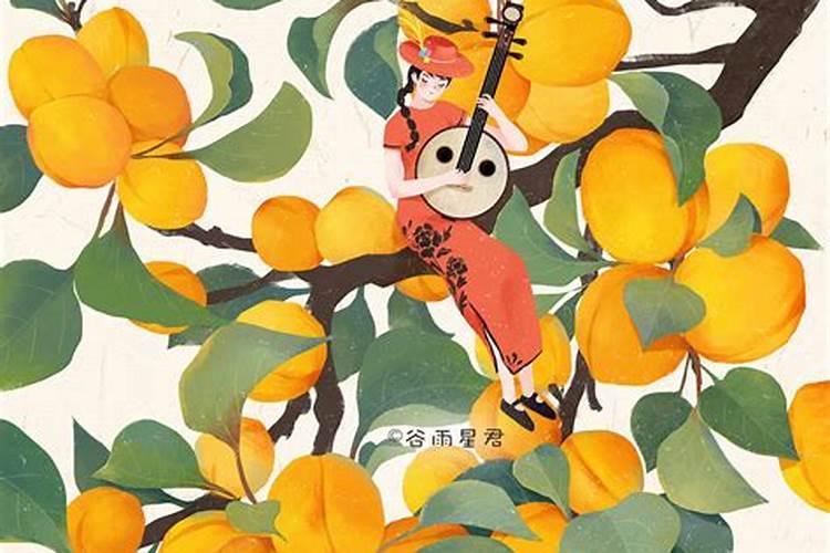 夏至陌离是什么意思？