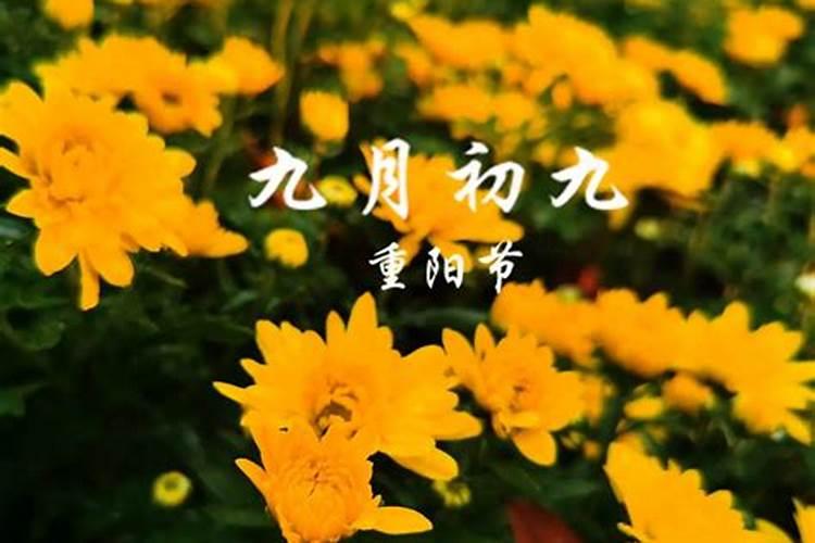 属猴人虎年戴什么化解 属猴人虎年戴啥首饰化解
