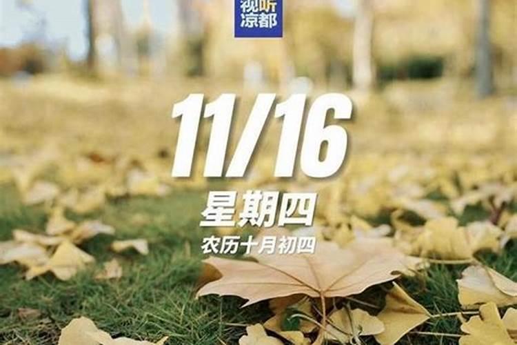 命局分析农历十月初一出生是什么命哪个时辰出生好？