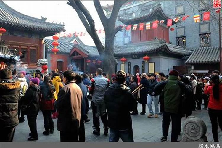 属蛇今年运势2026年运势如何
