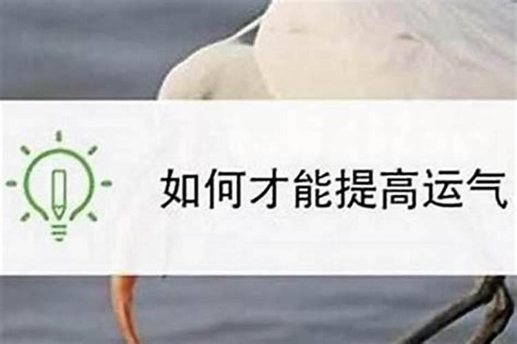 92年猴男2025年全年运势